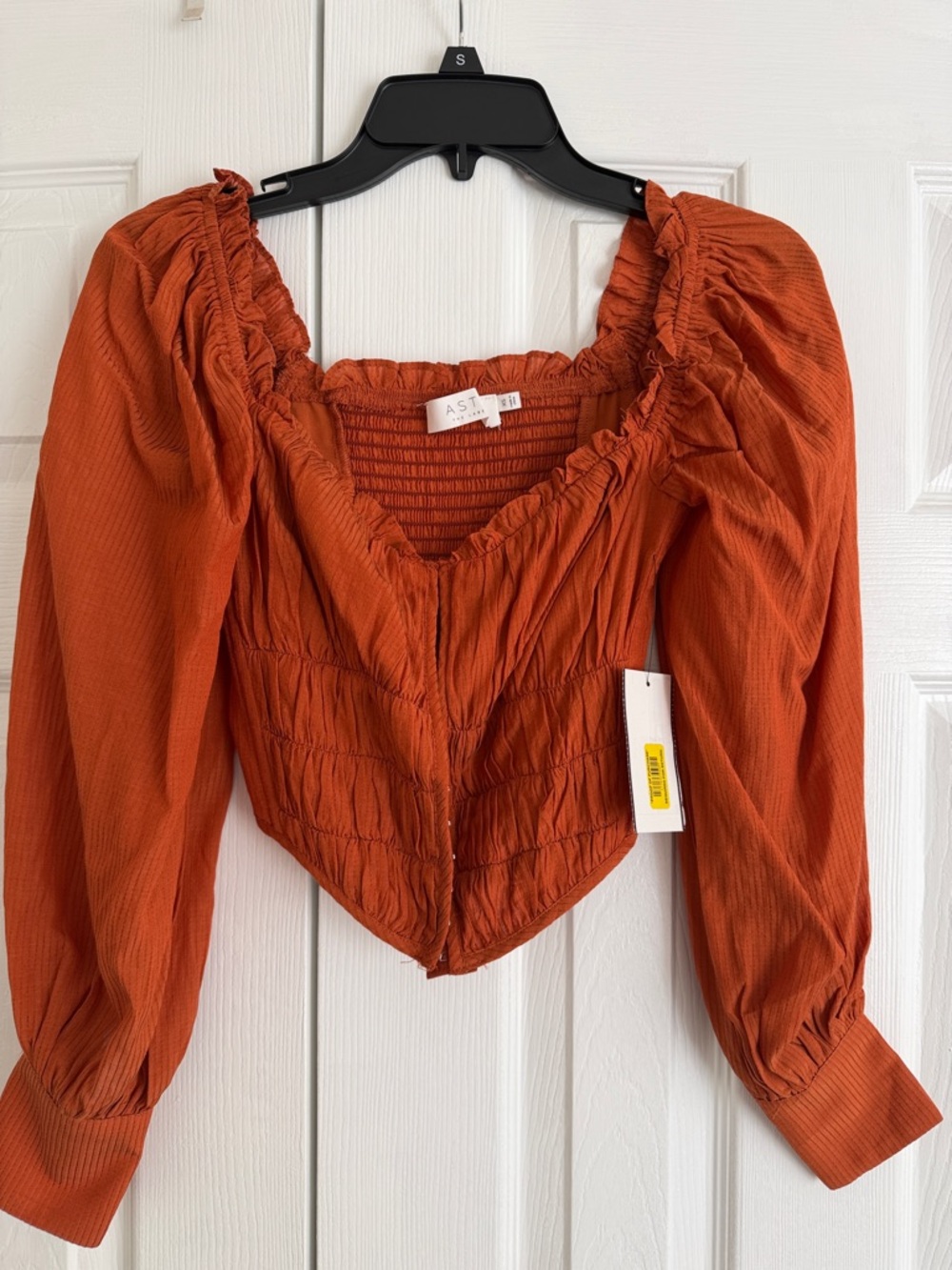 Astr Burnt Orange Smocked V-Neck Puff Sleeve Crop Top